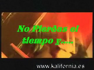 casting cantantes show man kalifornia orquesta