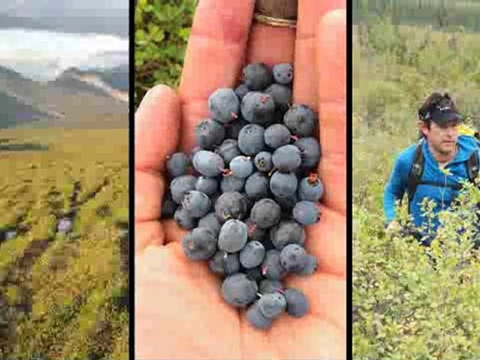National Geographic Live! Interview with Andrew Skurka