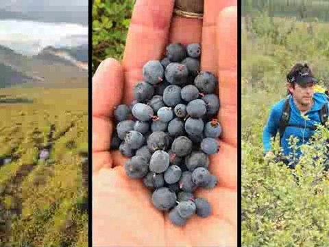 National Geographic Live! Interview with Andrew Skurka