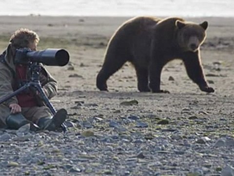 Michael Melford: Photographing Wild Bears in Alaska