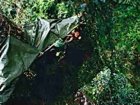 National Geographic Live! Interview with Mattias Klum