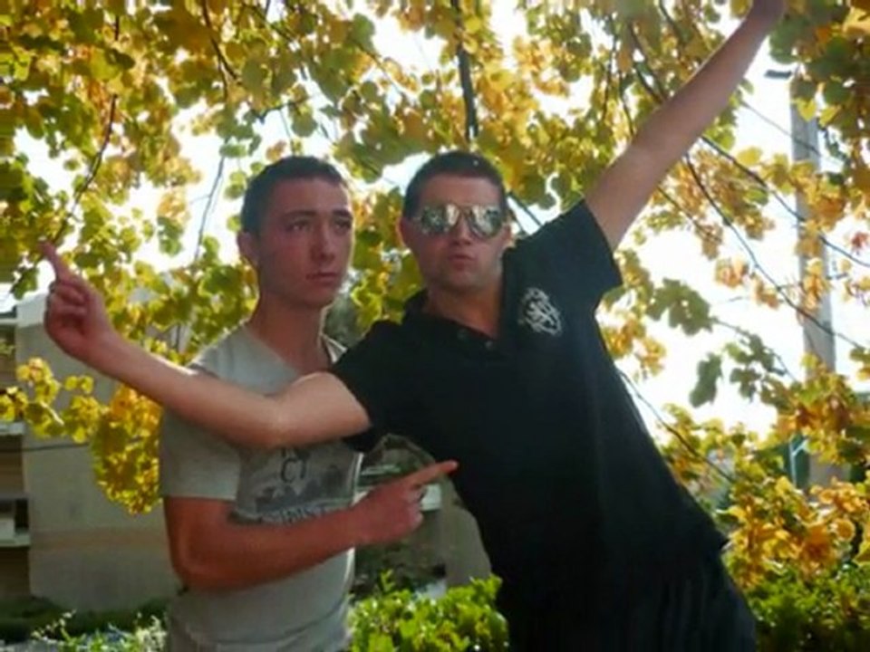 bafa 2011