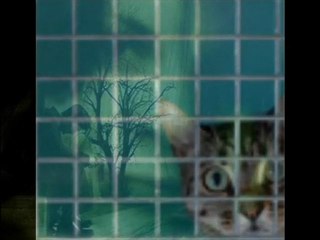 Tulay Maciran Ya Benim Olursun SeSLiPaRTNeR.Com, SeSLiPaRTNeR, SeSLi PaRTNeR  HeRKeSi  BeKLeRıZ  SaYGıLLaaR