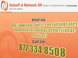 Information Technology Professional Services