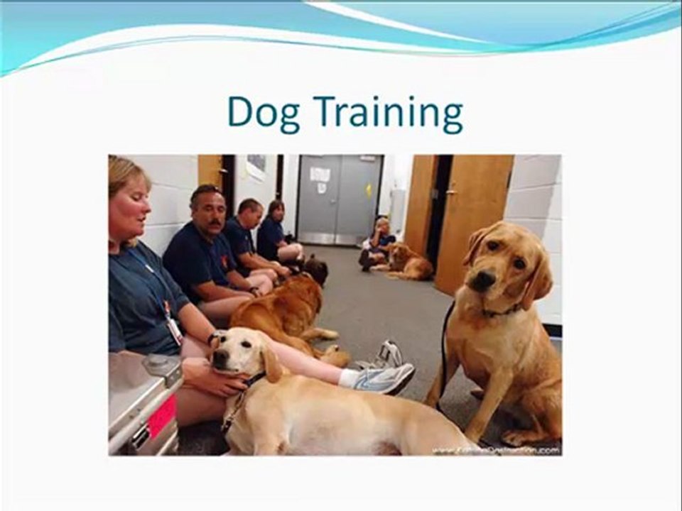 http://veterinarian.inbfhomes.net/