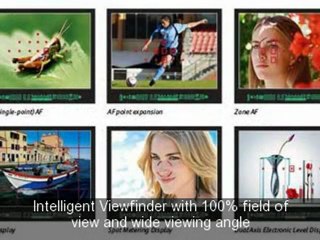 Canon EOS 7D Review