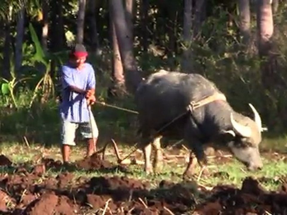Voyage aux Philippines - séjours equitables et solidaires avec Hiraya