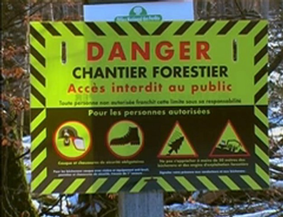 Si la forêt m'était comptée