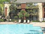 The Charter Apartments in Irvine, CA - ForRent.com