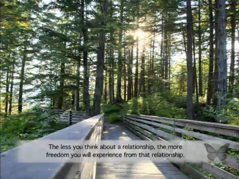 Build Appreciative Relationships: Wisie Wisdom Relationship Advice