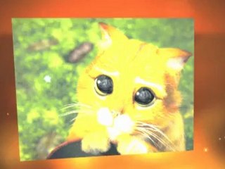 Download Now - Puss in Boots Hollywood Movie - Puss in ...