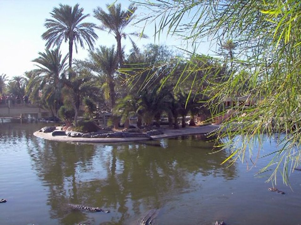 Djerba 2011 Fram