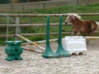 201111 - Ulanne croisillon