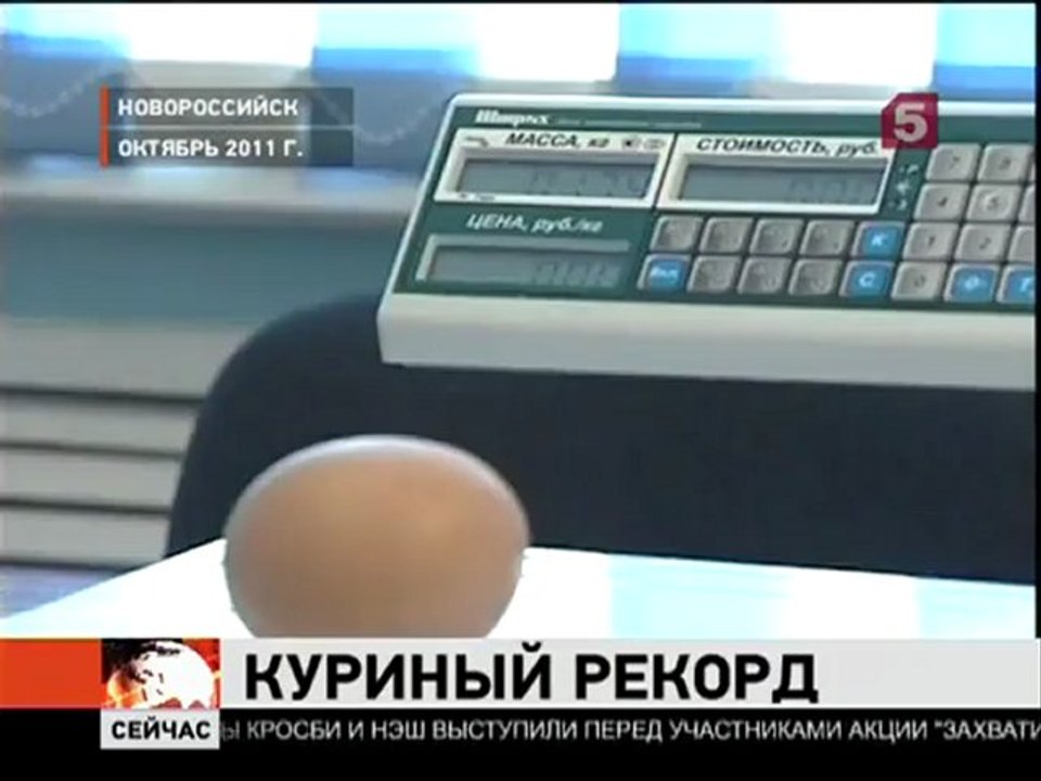 Гигантское яйцо снесла курица в Китае
