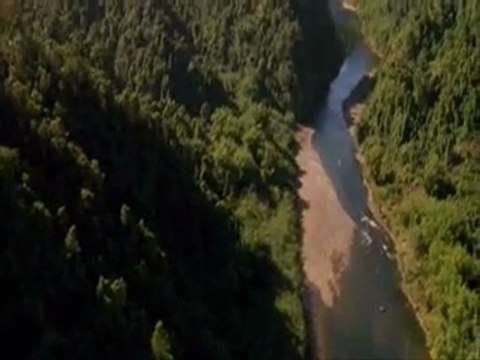 Anacondas hunt for the blood orchid pt11 - Coolmoviezone.com