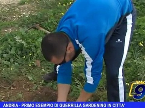 ANDRIA | Primo esempio di guerrilla gardening