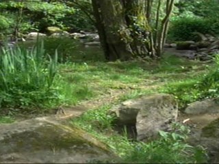 reportages "Mon avenir à la campagne" 2-Motivations