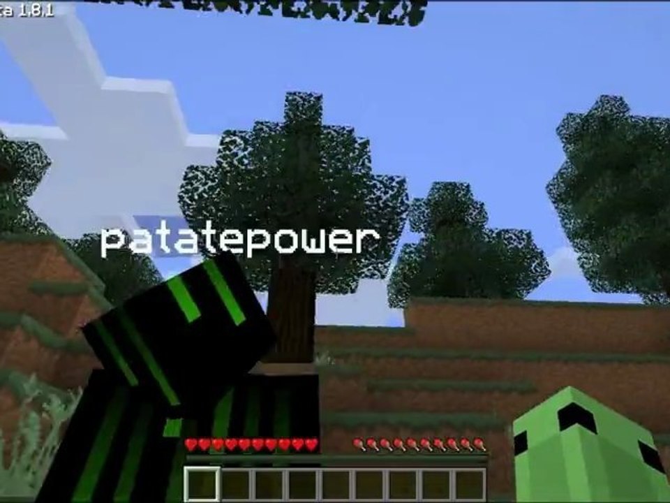 Video de présentation du projet _ Minecraft