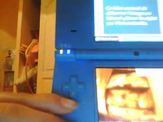 pour-nintendogs-labrador-214