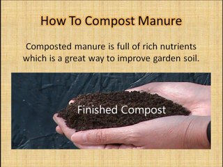 How to compost manure