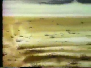 (DVD11) (08) CUIDA EL PAISAJE, CAMPAÑA