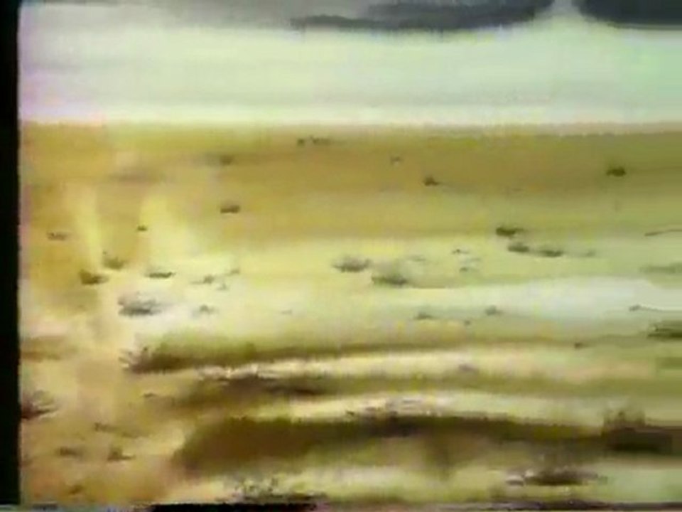 (DVD11) (08) CUIDA EL PAISAJE, CAMPAÑA