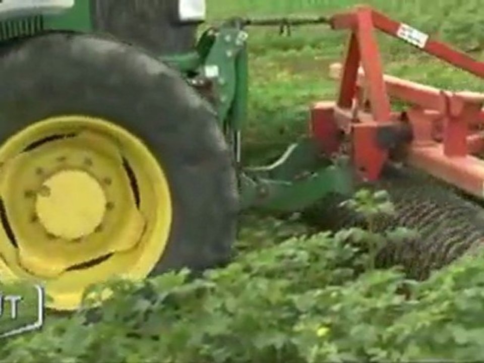 Chavagnes-en-Paillers teste les semis direct