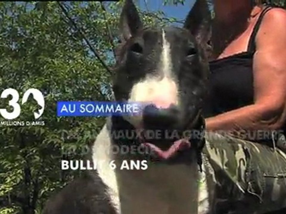 Sommaire émission 30 Millions d'Amis 13/11/2011