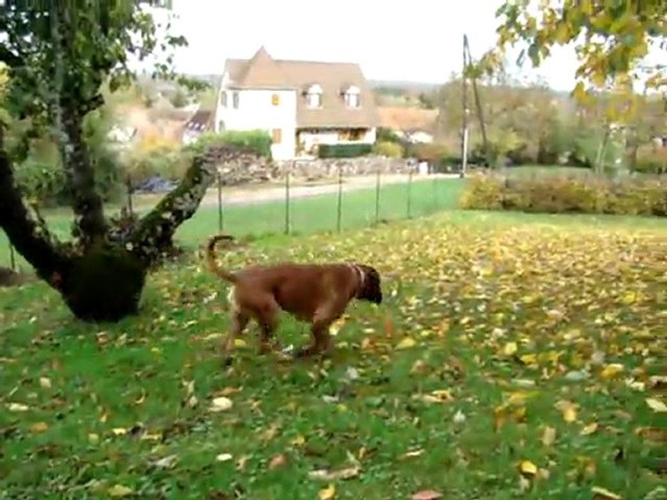 MOV06239 novembre2011