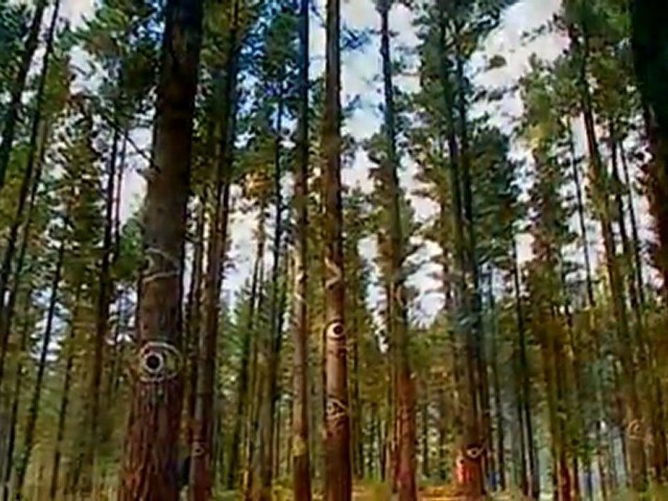 01 - El norte del camino (Guipúzcoa, Vizcaya y Cantabria)