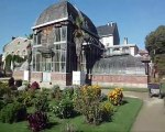 Visite du Jardin des Plantes à Nantes en Anglais