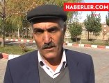 Ahlat'ta Ayı Saldırısı - Bitlis News