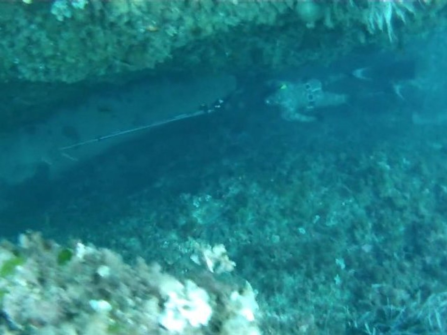L'Agachon, technique de chasse sous-marine