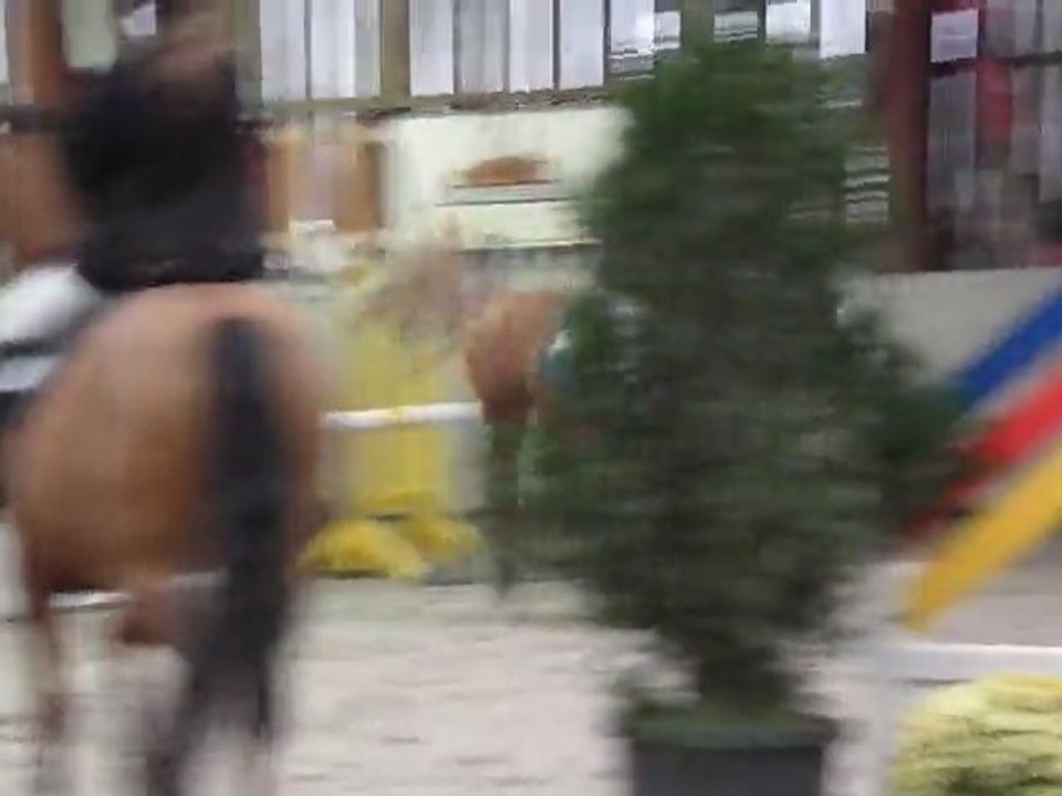 6novembre 2011 ♥ Flicka !!