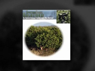 Bushnell Spotting Scopes
