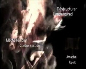 HAUTE COIFFURE FRANÇAISE / COLLECTION EMPREINTE 2011