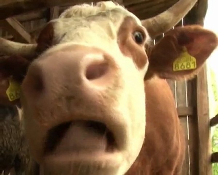 Stocar iz ljubavi u krizna vremena... Emisija Svet Poljoprivrede - www.agromedia.rs