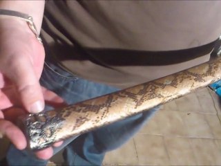 Démonstration Katana by Guillaume