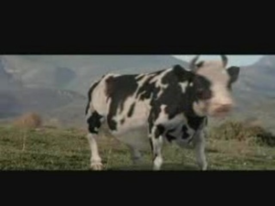 matrix cow