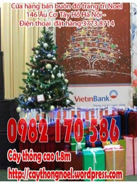 Dịch vụ trang trí noel, trang trí giáng sinh trọn gói 0982 170 586