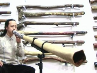 Tynon Bradford Heartland Didgeridoo MN1141