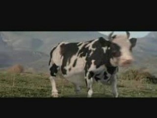 la vache matrix