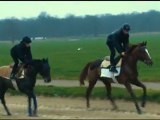 EXTRAIT - Lads et Jockeys - Equidia Life