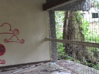 Old Brunei Hostel — a video tour