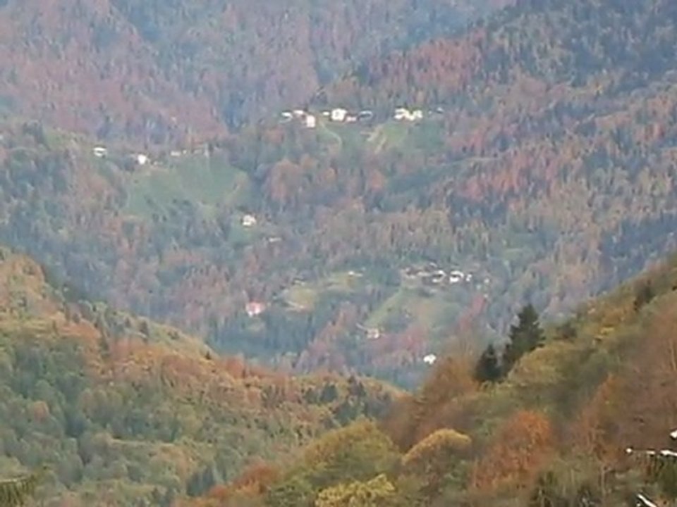uskut ten hemşin gezisi   yol üstün de kara kovanlar gürgen ağaçlarında