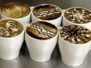 The Genius Coffee Maker Saeco 4038 Vienna Plus