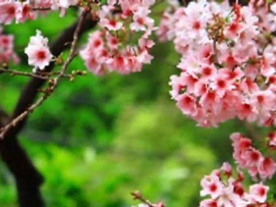 我的視訊22