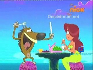 Zig and Sharko - 10th November 2011 Video Watch Online p1