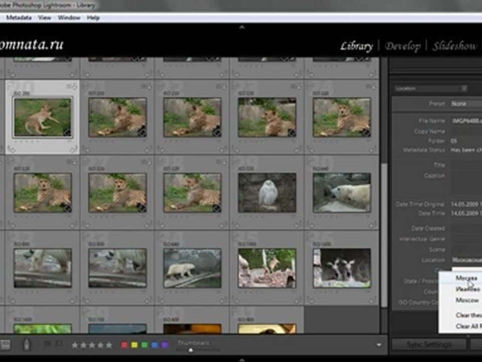 Урок 014 полного русского курса по Lightroom 2