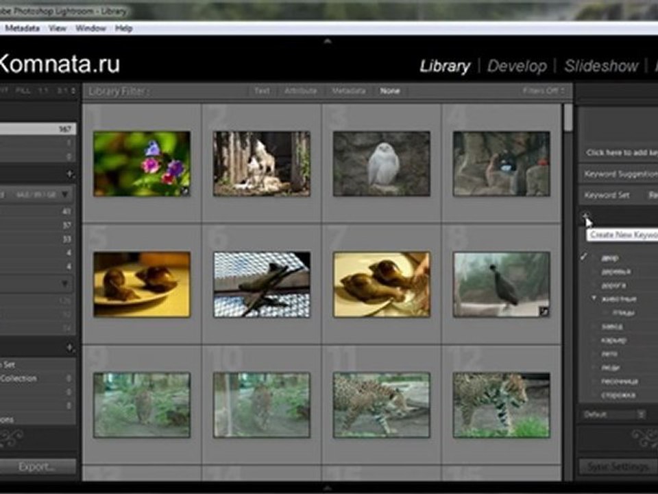 Урок 017 полного русского курса по Lightroom 2